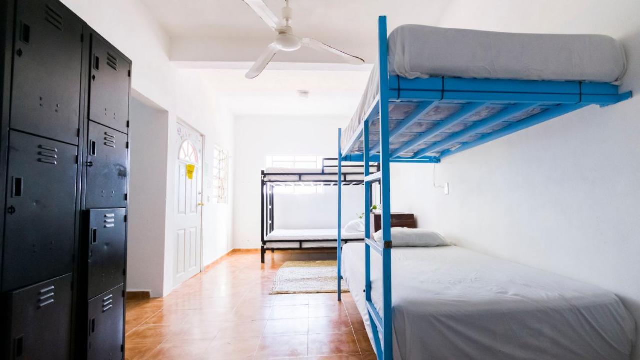Weary Traveler Hostel Tulum Phòng bức ảnh