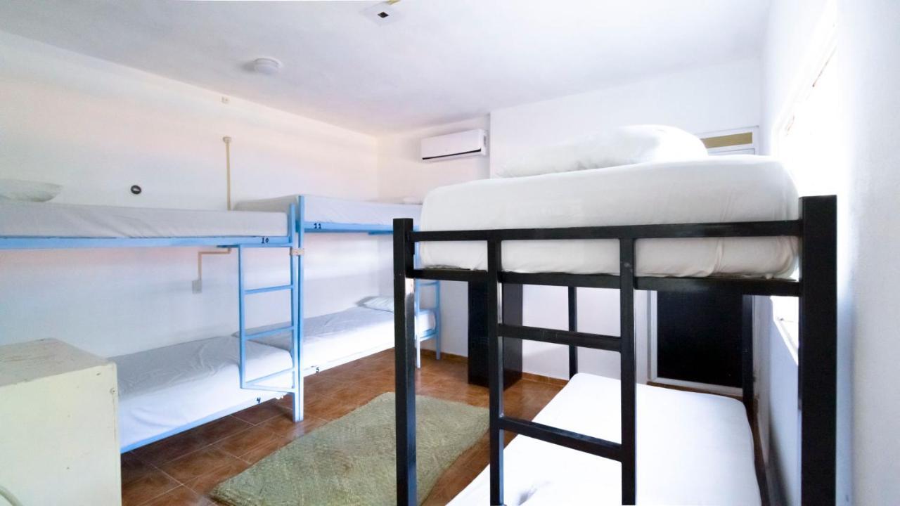 Weary Traveler Hostel Tulum Phòng bức ảnh