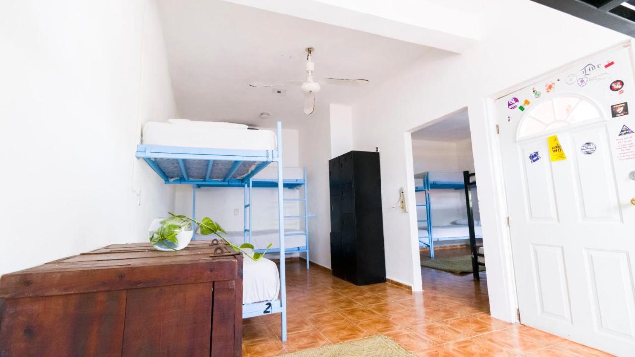 Weary Traveler Hostel Tulum Phòng bức ảnh