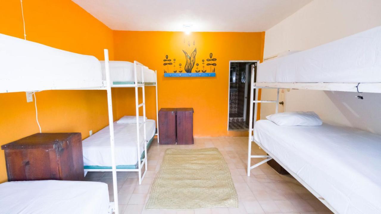 Weary Traveler Hostel Tulum Phòng bức ảnh
